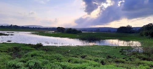 Place