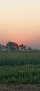 Place